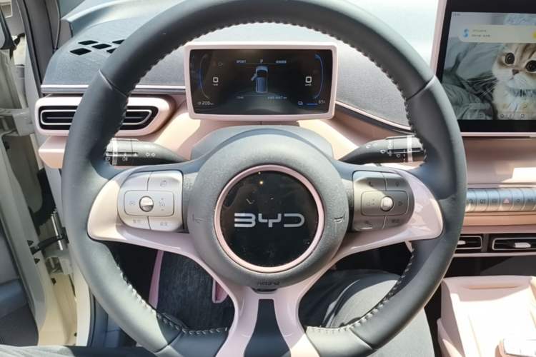 Used BYD Seagull 2024 Honor Edition 305km Freedom Version Steering Wheel