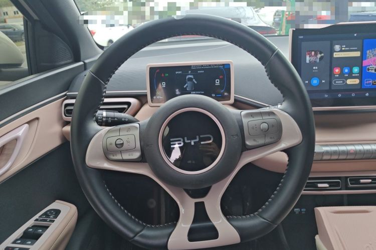 Used BYD Seagull 2024 Honor Edition 305km Freedom Version Steering Wheel