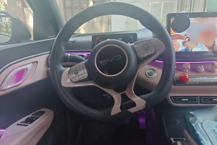 Used BYD Seagull 2024 Honor Edition 305km Dynamic Version Steering Wheel