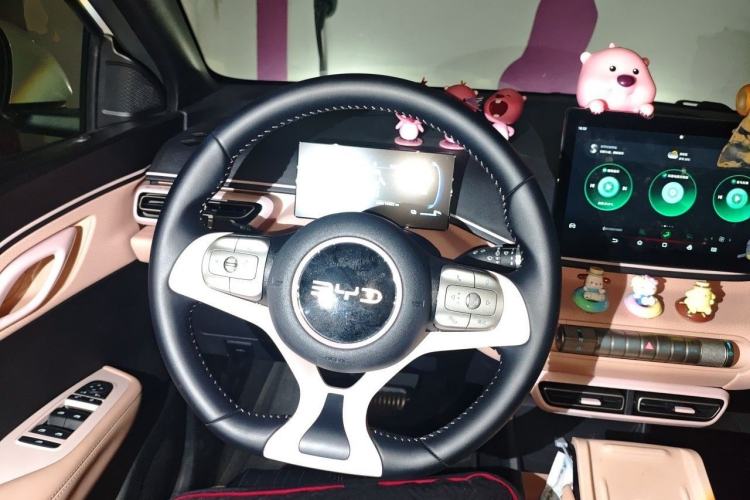 Used BYD Seagull 2024 Honor Edition 305km Freedom Version Steering Wheel