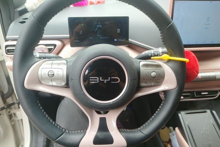 Used BYD Seagull 2024 Honor Edition 305km Freedom Version Steering Wheel
