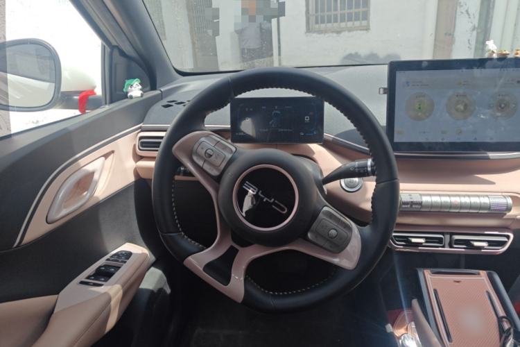Used BYD Seagull 2024 Honor Edition 305km Freedom Version Steering Wheel