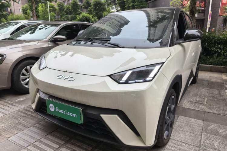 BYD Seagull 2024 Honor Edition 305km Freedom Version