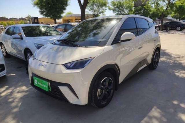 Used BYD Seagull 2024 Honor Edition 305km Freedom Version