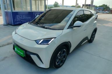 Used BYD Seagull 2024 Honor Edition 305km Freedom Version