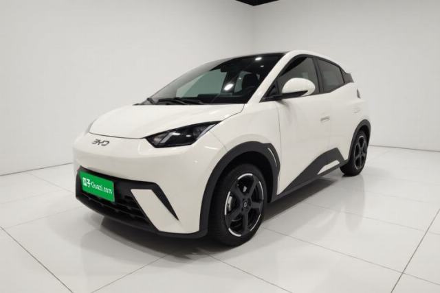 BYD Seagull 2024 Honor Edition 305km Freedom Version usado