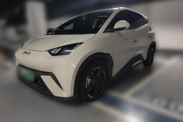 BYD Seagull 2024 Honor Edition 305km Freedom Version usado