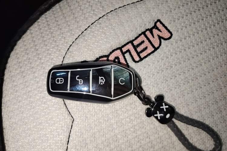 Used BYD Seagull 2024 Honor Edition 305km Dynamic Version Vehicle Key