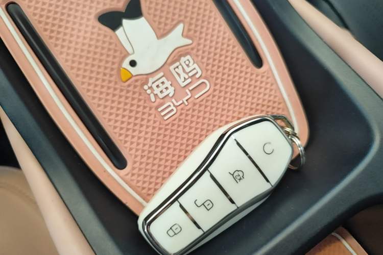 Used BYD Seagull 2024 Honor Edition 305km Freedom Version Vehicle Key