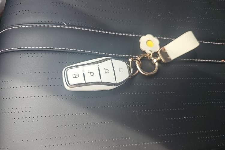 Used BYD Seagull 2024 Honor Edition 305km Freedom Version Vehicle Key