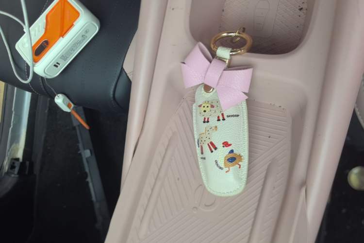 Used BYD Seagull 2024 Honor Edition 405km Flying Version Vehicle Key