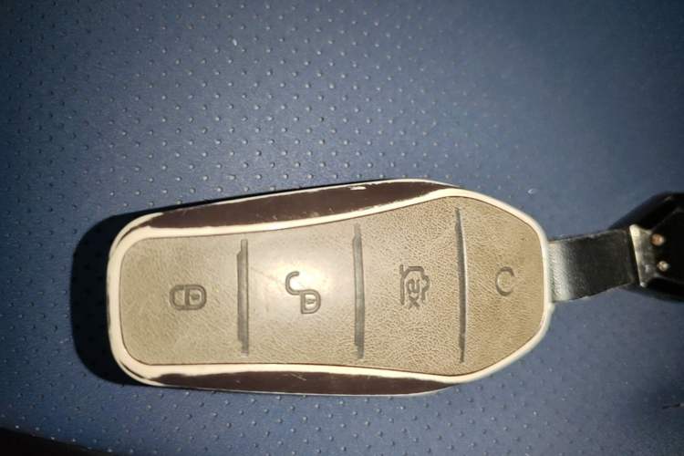 Used BYD Seagull 2024 Honor Edition 305km Dynamic Version Vehicle Key