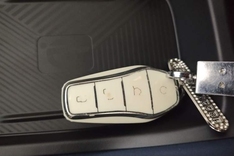 Used BYD Seagull 2024 Honor Edition 305km Freedom Version Vehicle Key