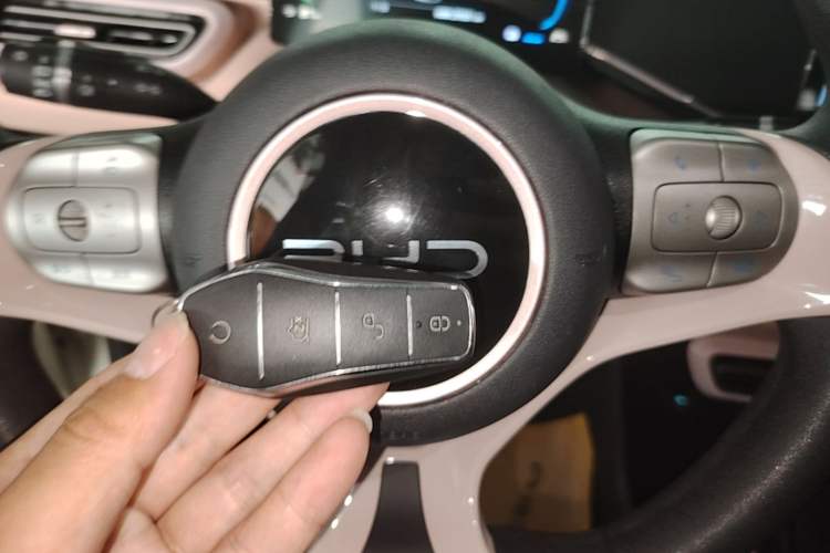 Used BYD Seagull 2024 Honor Edition 305km Dynamic Version Vehicle Key
