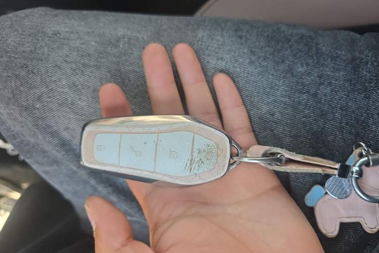 Used BYD Seagull 2024 Honor Edition 405km Flying Version Vehicle Key