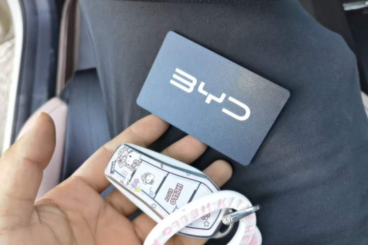 Used BYD Seagull 2024 Honor Edition 305km Dynamic Version Vehicle Key