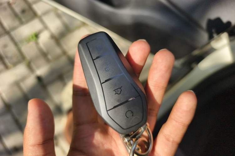 Used BYD Seagull 2024 Honor Edition 305km Dynamic Version Vehicle Key