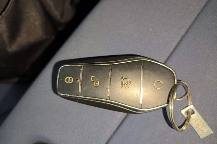 Used BYD Seagull 2024 Honor Edition 305km Dynamic Version Vehicle Key