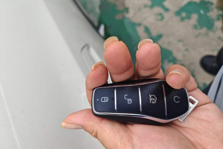 Used BYD Seagull 2024 Honor Edition 305km Dynamic Version Vehicle Key