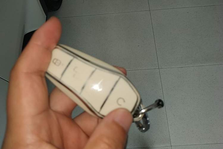 Used BYD Seagull 2024 Honor Edition 305km Dynamic Version Vehicle Key