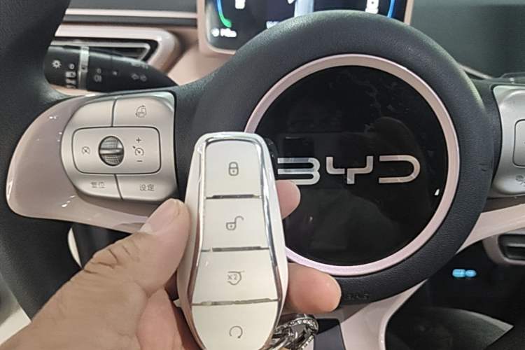 Used BYD Seagull 2024 Honor Edition 305km Dynamic Version Vehicle Key