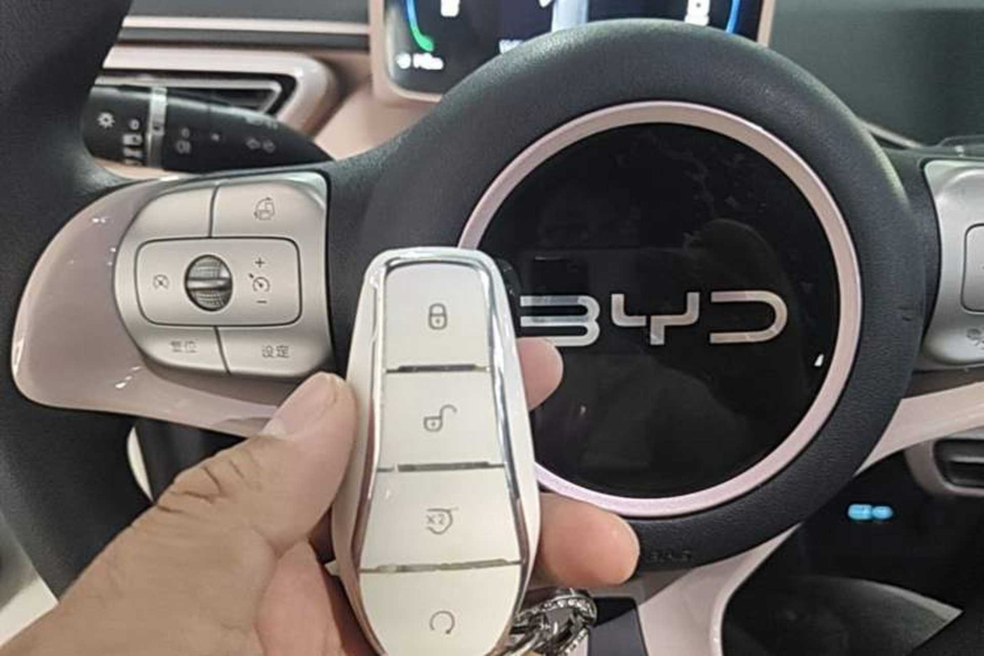 Used BYD Seagull 2024 Honor Edition 305km Dynamic Version Vehicle Key