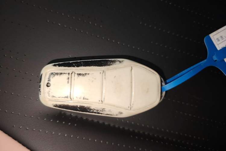 Used BYD Seagull 2024 Honor Edition 305km Dynamic Version Vehicle Key
