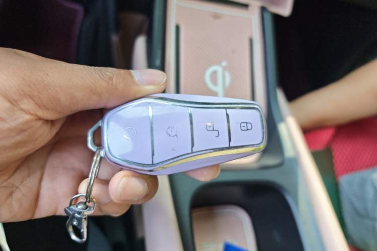 Used BYD Seagull 2024 Honor Edition 305km Dynamic Version Vehicle Key