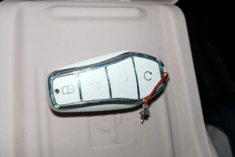Used BYD Seagull 2024 Honor Edition 305km Dynamic Version Vehicle Key
