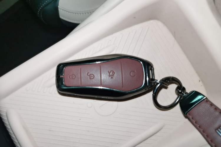 Used BYD Seagull 2024 Honor Edition 305km Dynamic Version Vehicle Key