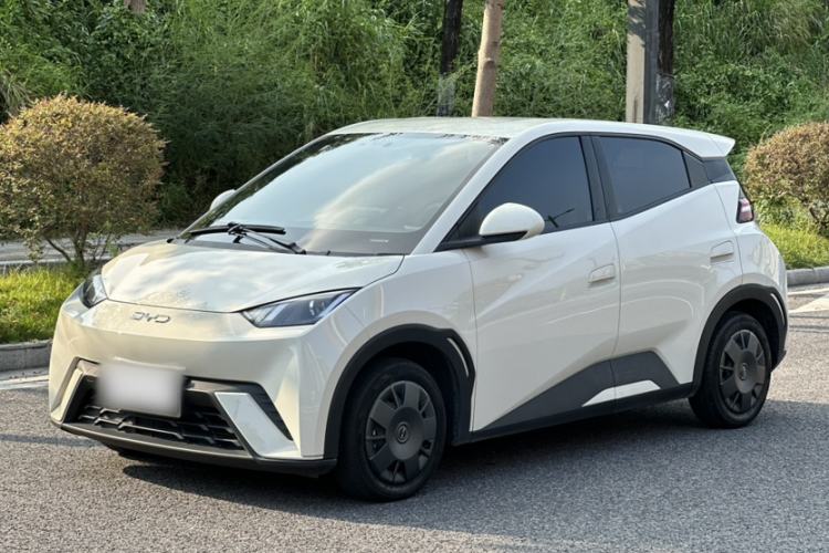 BYD Seagull 2024 Honor Edition 305km Dynamic Version