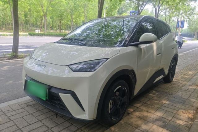 Used BYD Seagull 2024 Honor Edition 305km Freedom Version