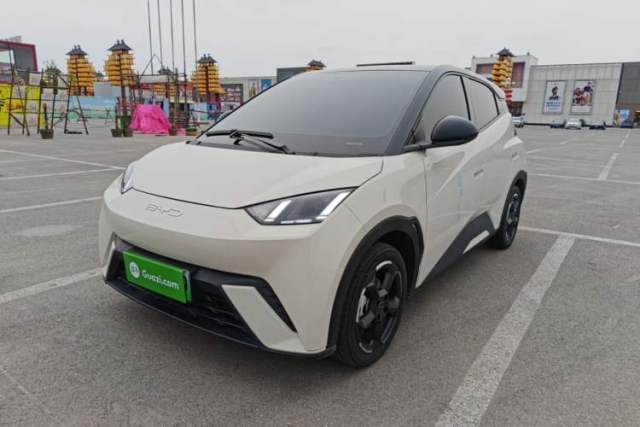 Used BYD Seagull 2024 Honor Edition 305km Freedom Version