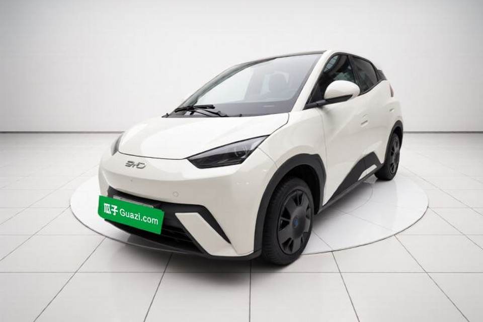 BYD Seagull 2024