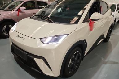 Used BYD Seagull 2024 Honor Edition 405km Flying Version