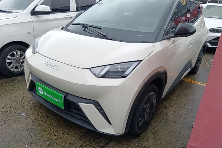 BYD Seagull 2024 Honor Edition 305km Dynamic Version
