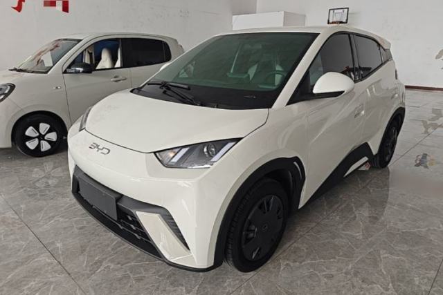 Used BYD Seagull 2024 Honor Edition 305km Dynamic Version