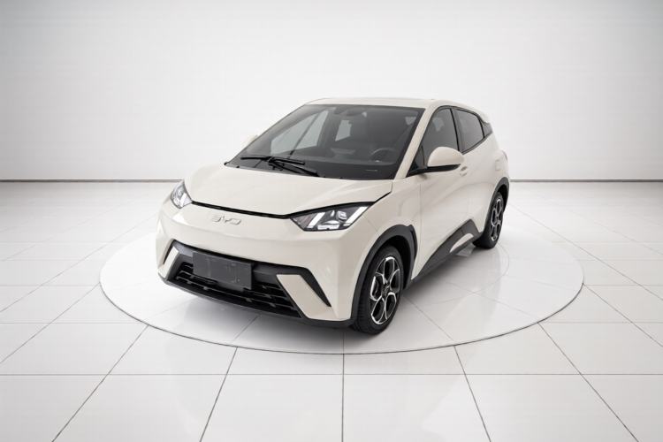 BYD Seagull 2024 Honor Edition 305km Freedom Version