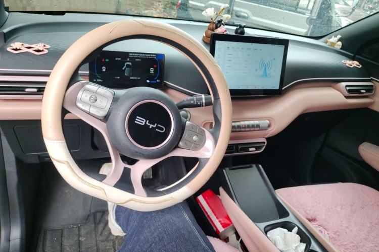 Used BYD Seagull 2024 Honor Edition 305km Dynamic Version Center Console