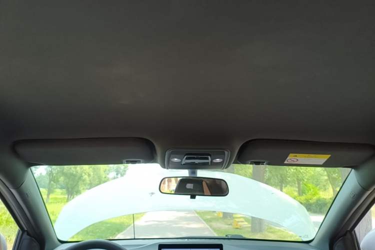 Used BYD Seagull 2024 Honor Edition 305km Dynamic Version Headliner