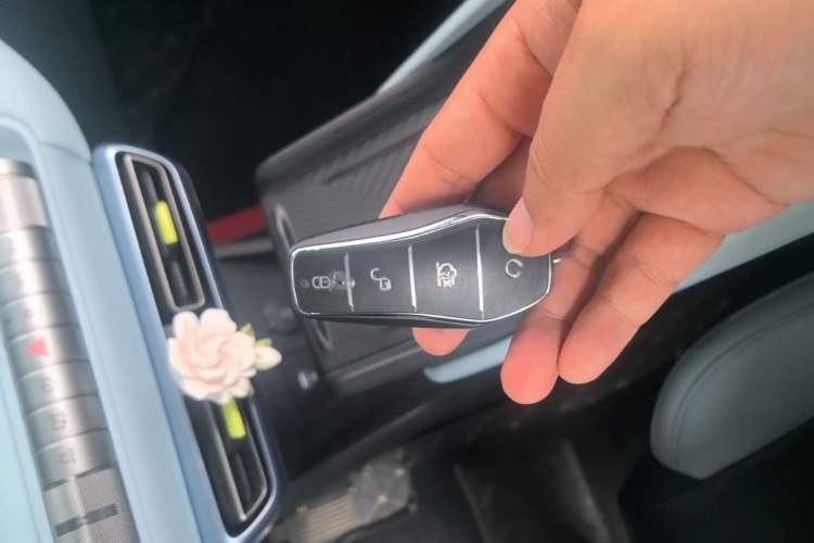 Used BYD Seagull 2024 Honor Edition 305km Freedom Version Interior 1