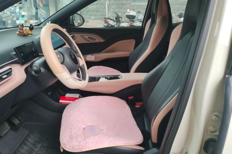 Used BYD Seagull 2024 Honor Edition 305km Dynamic Version Left Front Seat