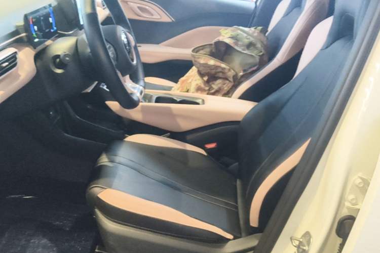 Used BYD Seagull 2024 Honor Edition 305km Dynamic Version Left Front Seat