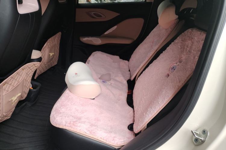 Used BYD Seagull 2024 Honor Edition 305km Dynamic Version Left Rear Seat