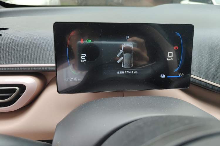 Used BYD Seagull 2024 Honor Edition 305km Dynamic Version Odometer Close Up