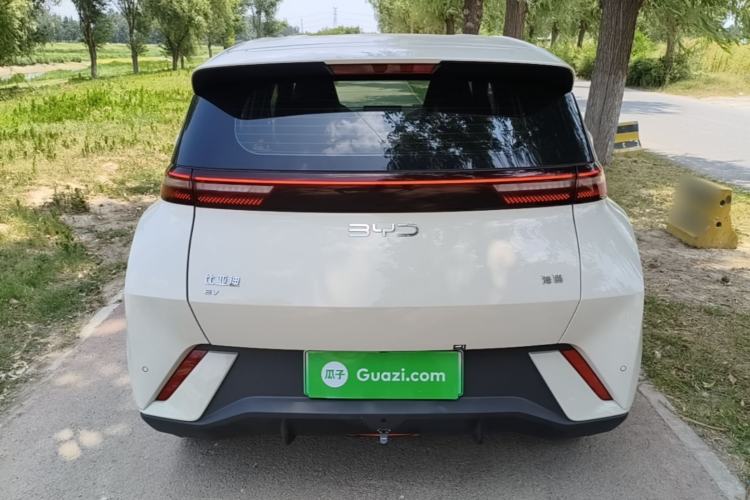 Used BYD Seagull 2024 Honor Edition 305km Dynamic Version Rear