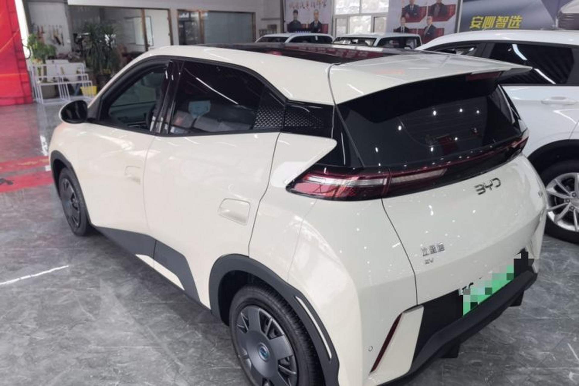 Used BYD Seagull 2024 Honor Edition 305km Dynamic Version Rear Left 45 Deg
