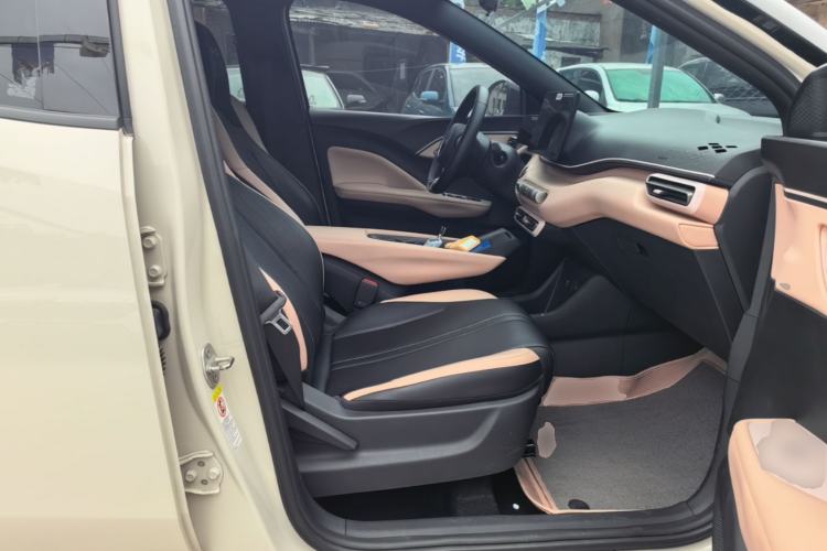 Used BYD Seagull 2024 Honor Edition 405km Flying Version Right Front Seat