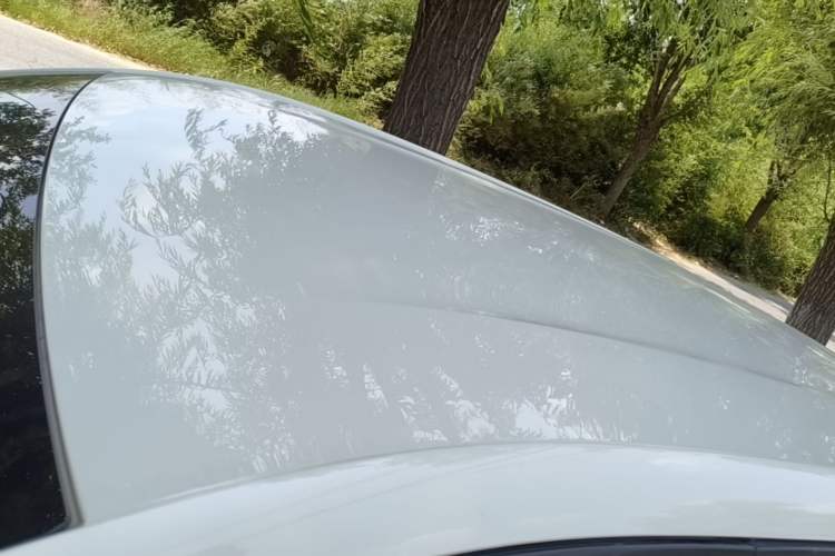 Used BYD Seagull 2024 Honor Edition 305km Dynamic Version Roof