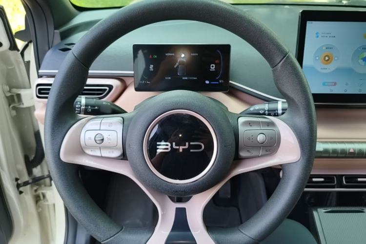 Used BYD Seagull 2024 Honor Edition 305km Dynamic Version Steering Wheel